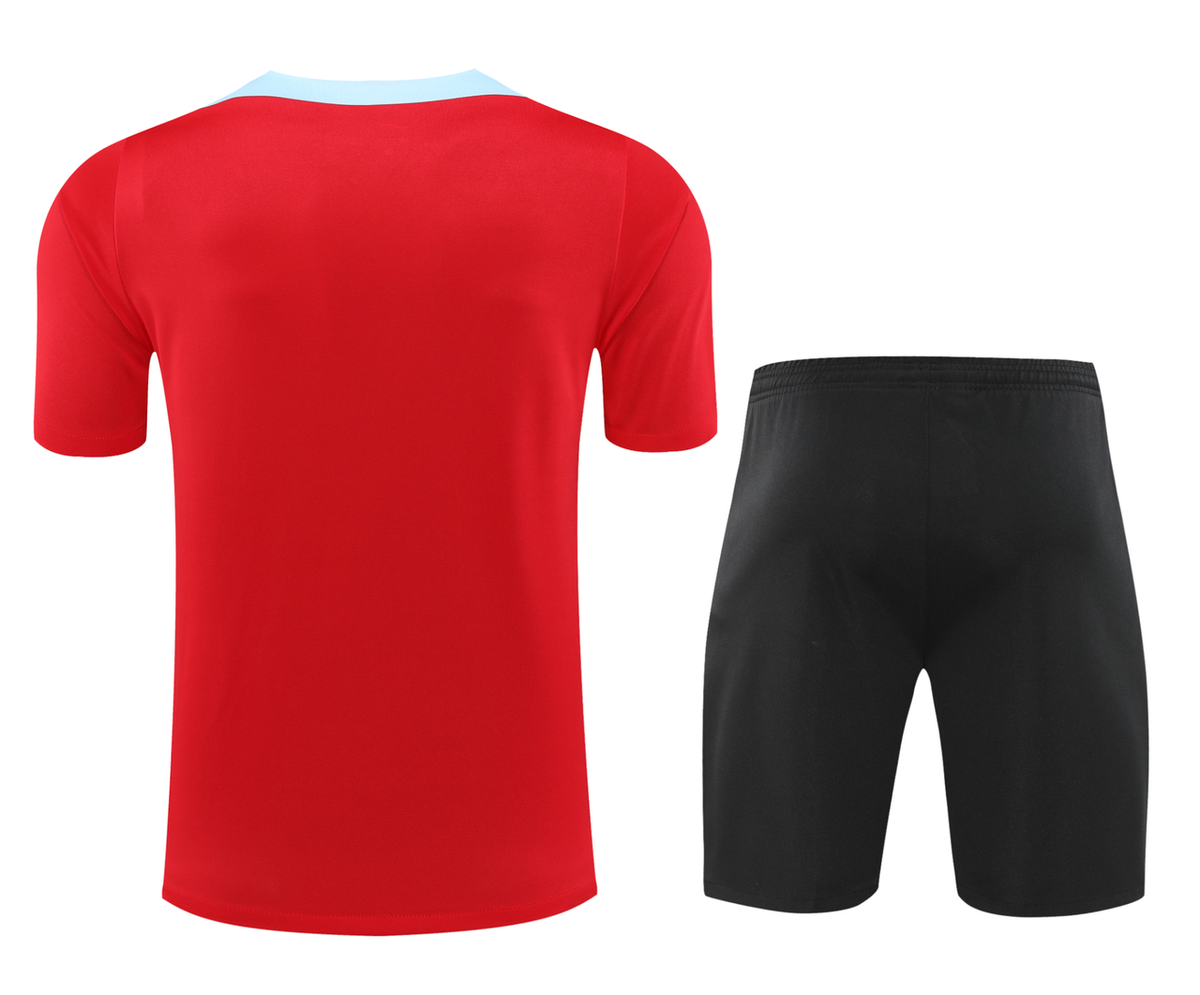 Barcelona 24/25 Men's Red Training Shirt