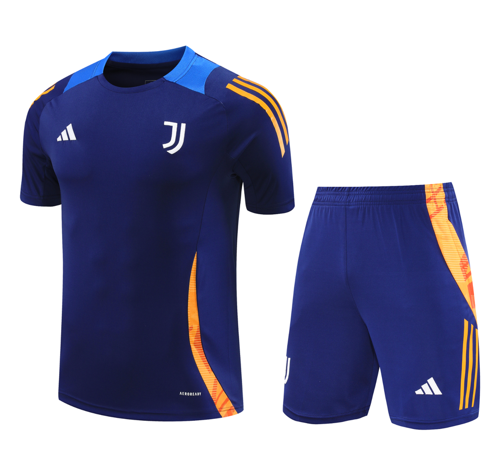 Juventus 24/25 Men's Navy Training Shirt