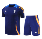 Juventus 24/25 Men's Navy Training Shirt