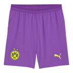 Borussia Dortmund 26/27 Authentic Men's Third Shirt